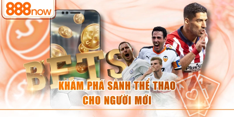Khám phá sảnh thể thao cho người mới